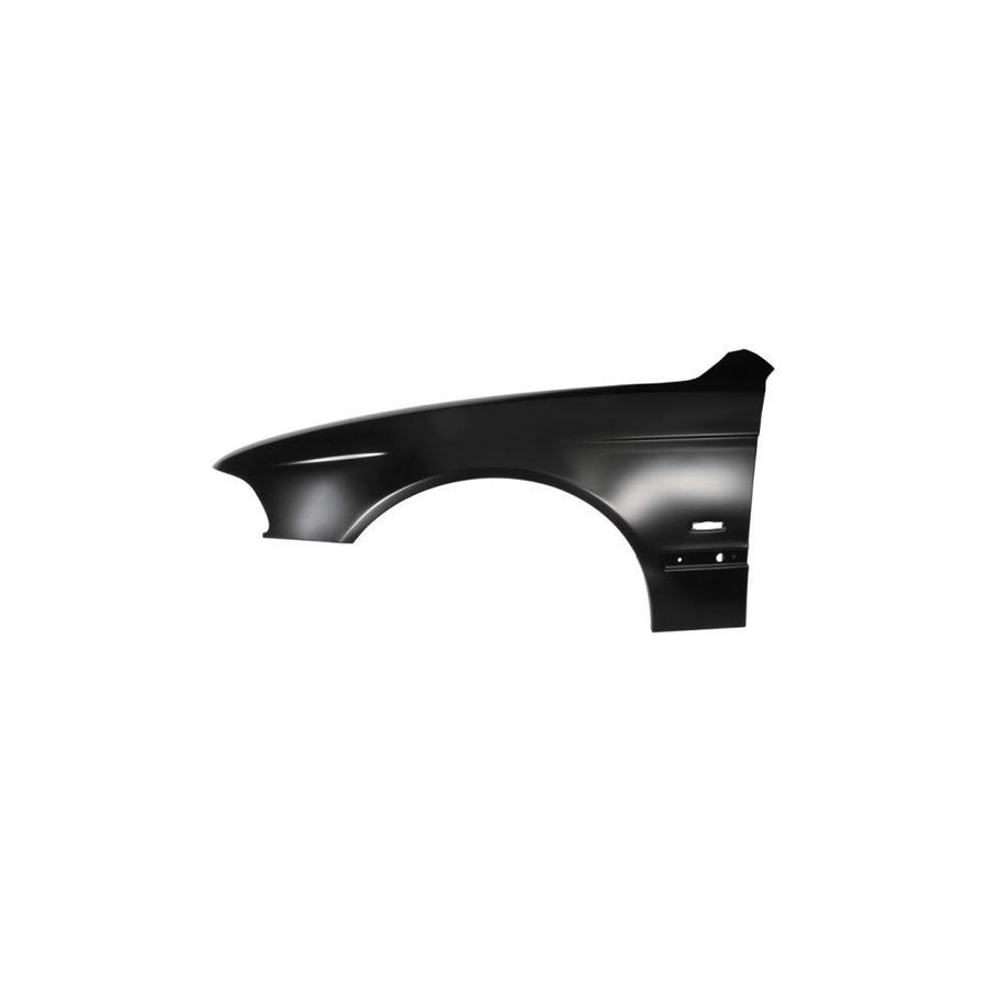 Blic 6504-04-0065311P Wing Fender for BMW 5 Series