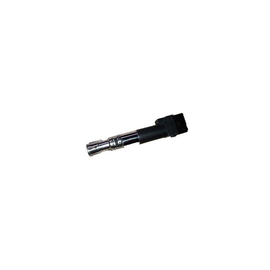 BUGIAD Bsp24996 Ignition Coil