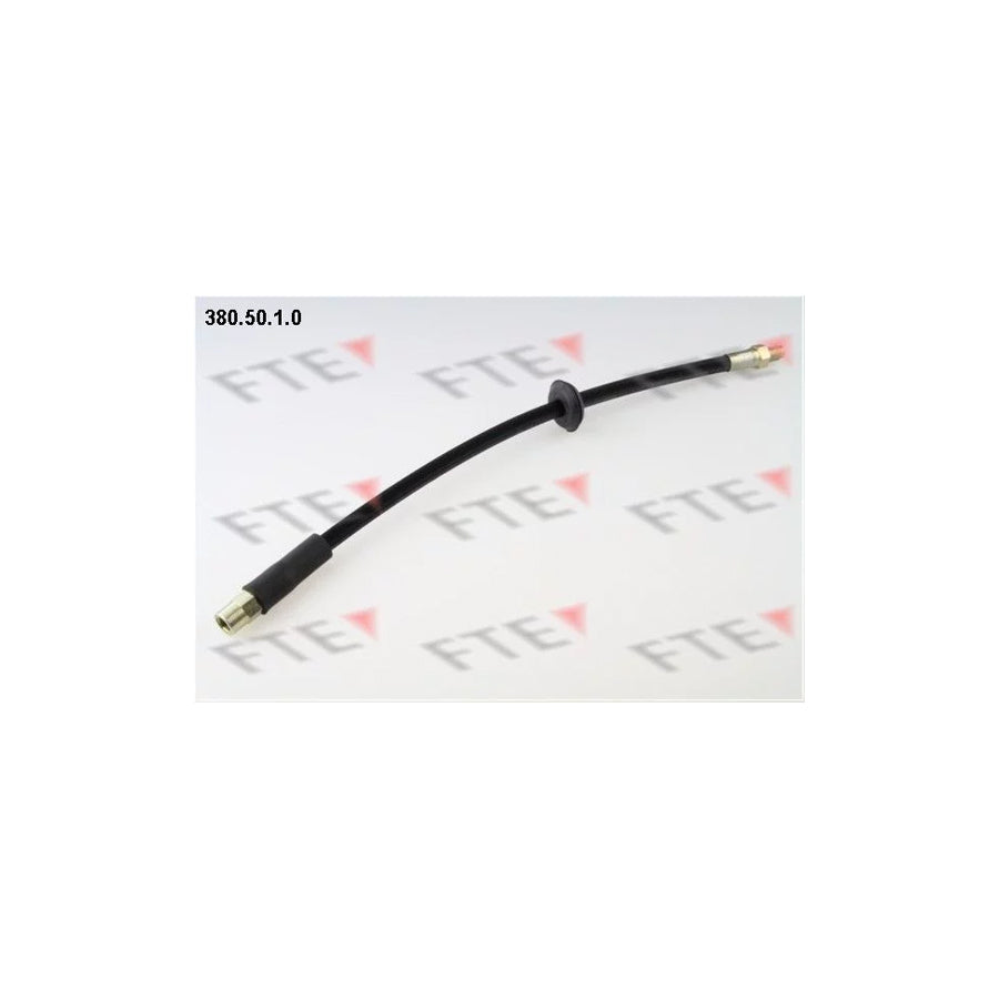 FTE 380.50.1.0 Brake Hose