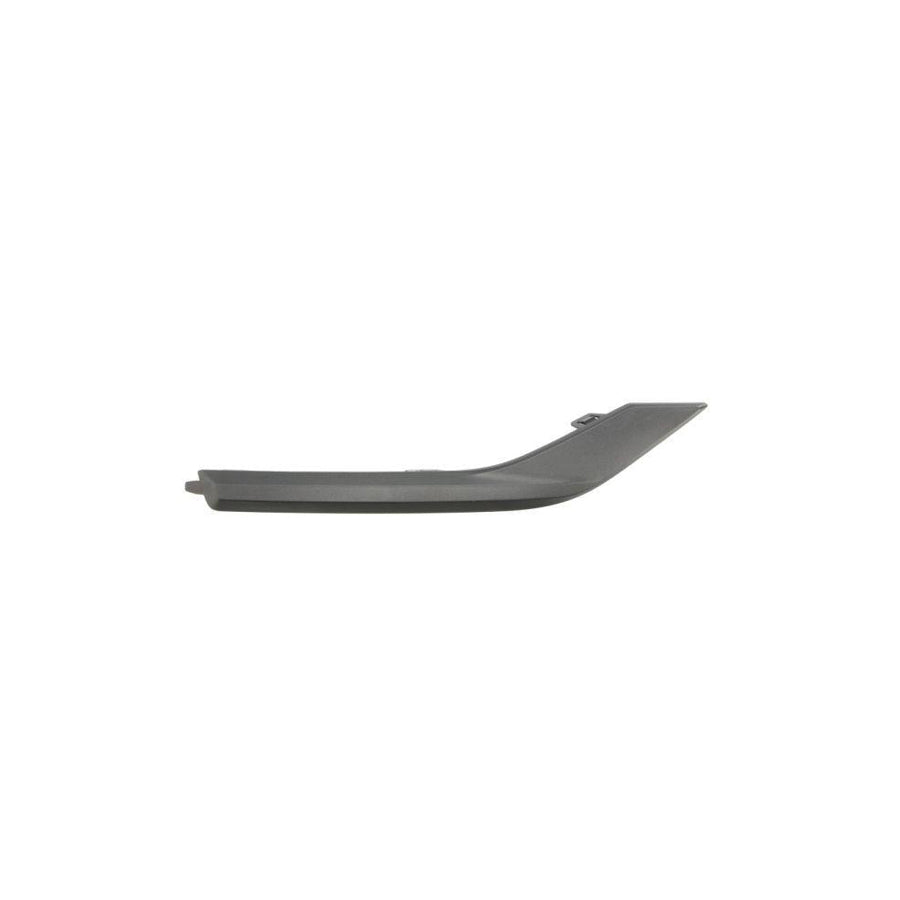 Blic 6502-07-3184972Cp Bumper Moulding