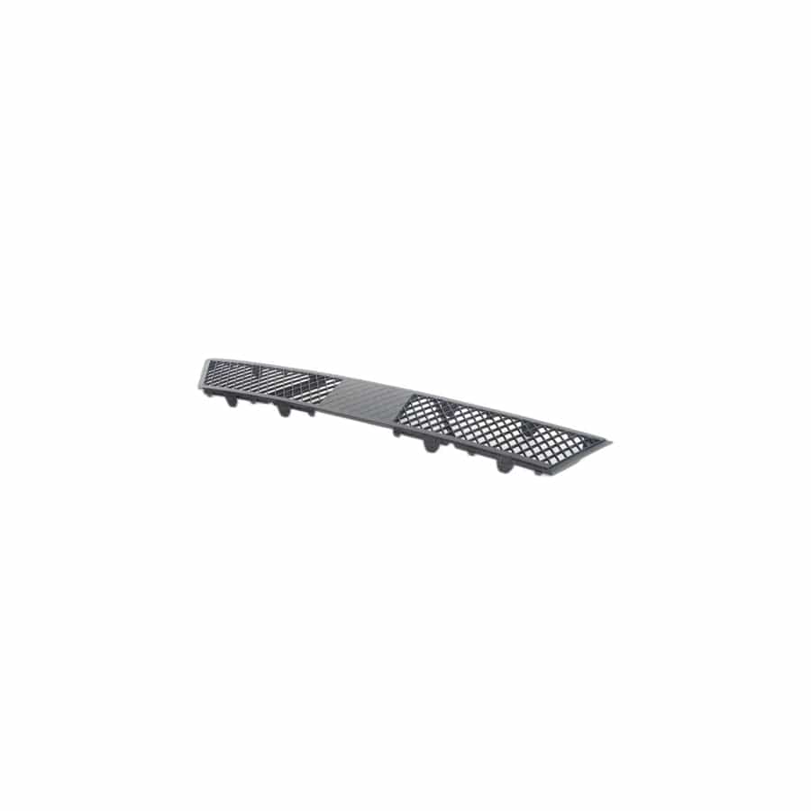 Genuine BMW 51117200730 F07 Grill, Air Intake, Center (Inc. 550iX 4.0, 550iX & 535dX)