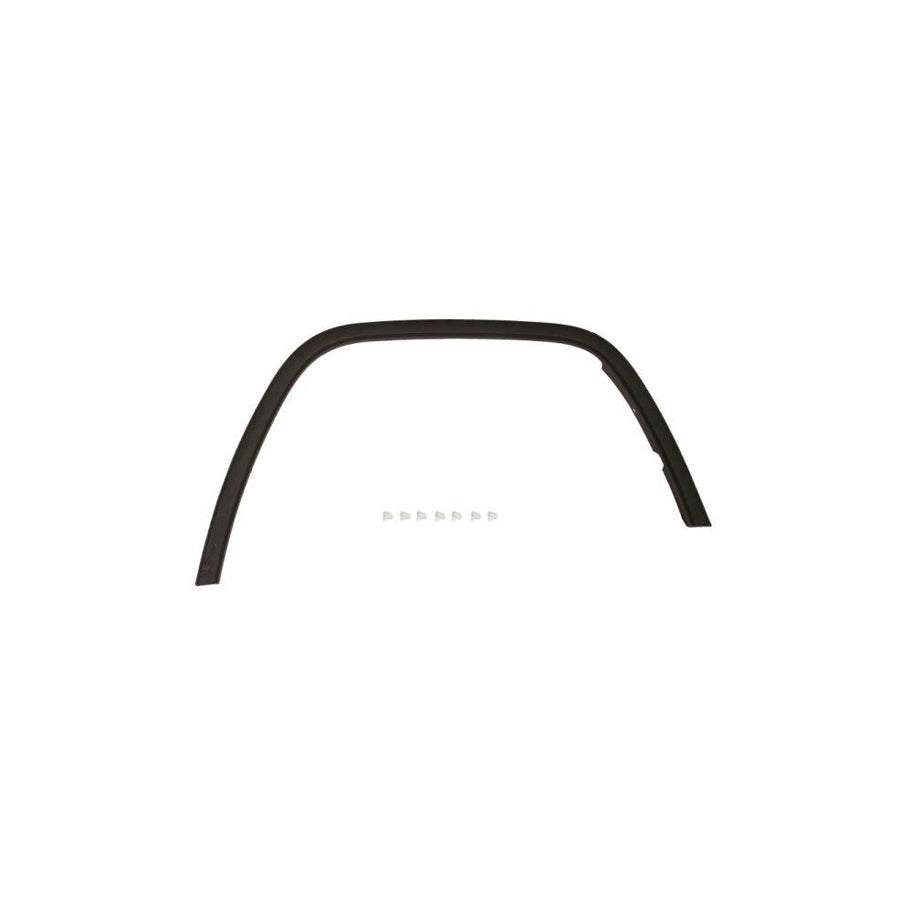 Blic 5703-08-3206371P Trim / Protective Strip, Mudguard for Jeep Grand Cherokee IV (Wk, Wk2)