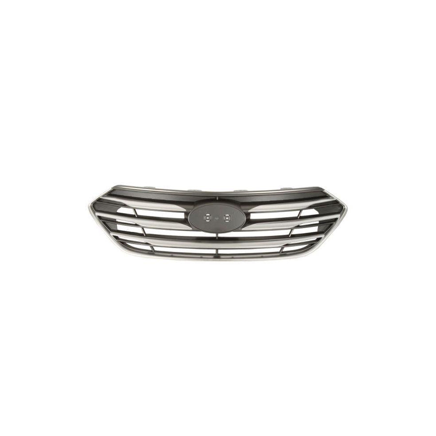 Blic 6502-07-3182995P Radiator Grille for Hyundai Santa FÃ© III (DM)