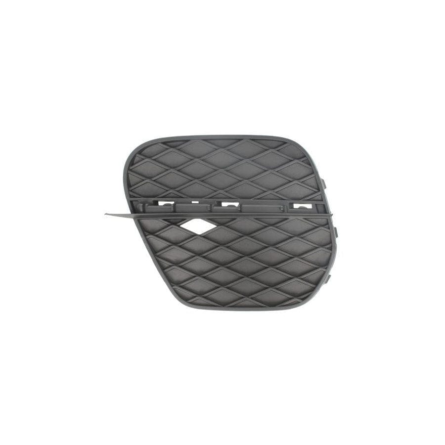 Blic 6502-07-0096915P Bumper Grill for BMW X5 (E70)