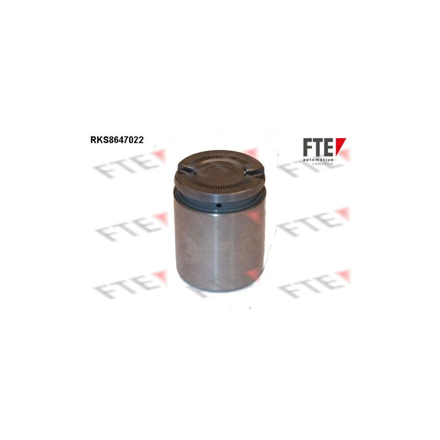 FTE Rks8647022 Piston, Brake Caliper