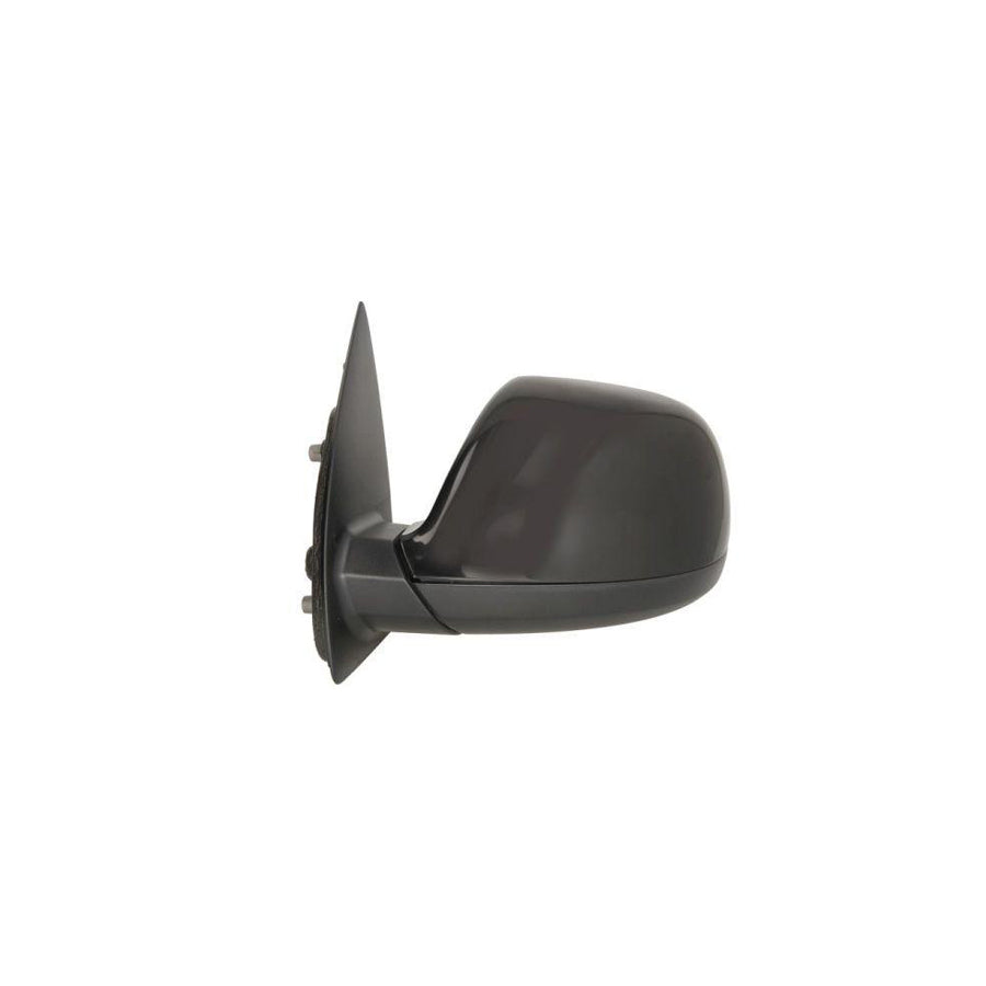 Blic 5402-01-2002559P Wing Mirror