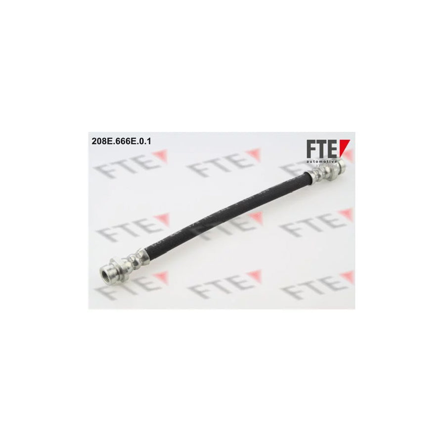 FTE 208E.666E.0.1 Brake Hose
