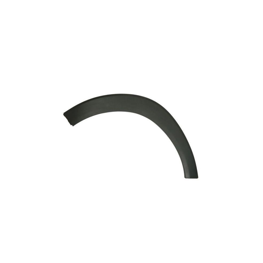 Blic 5703-08-3177372P Trim / Protective Strip, Mudguard for Hyundai Tucson (Tl, Tle)