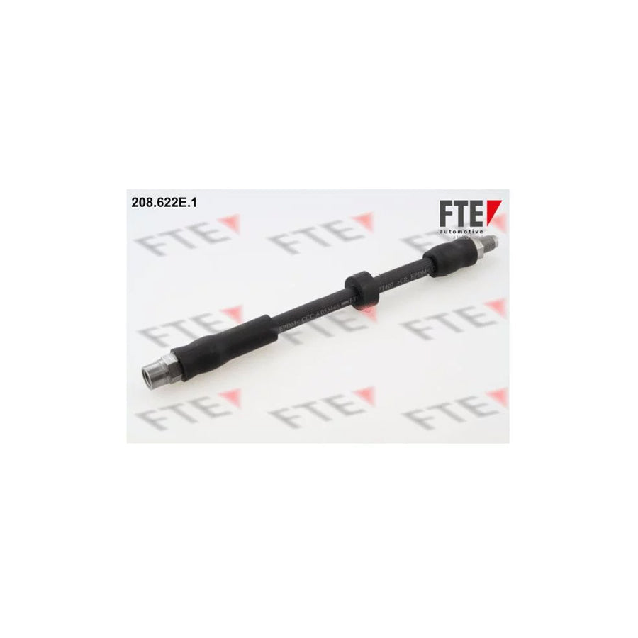 FTE 208.622E.1 Brake Hose