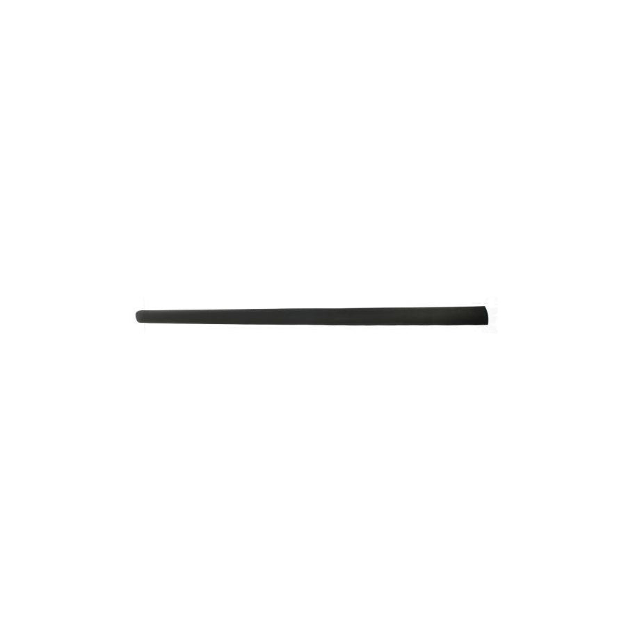 Blic 5703-04-5514571P Door Molding for Peugeot 307