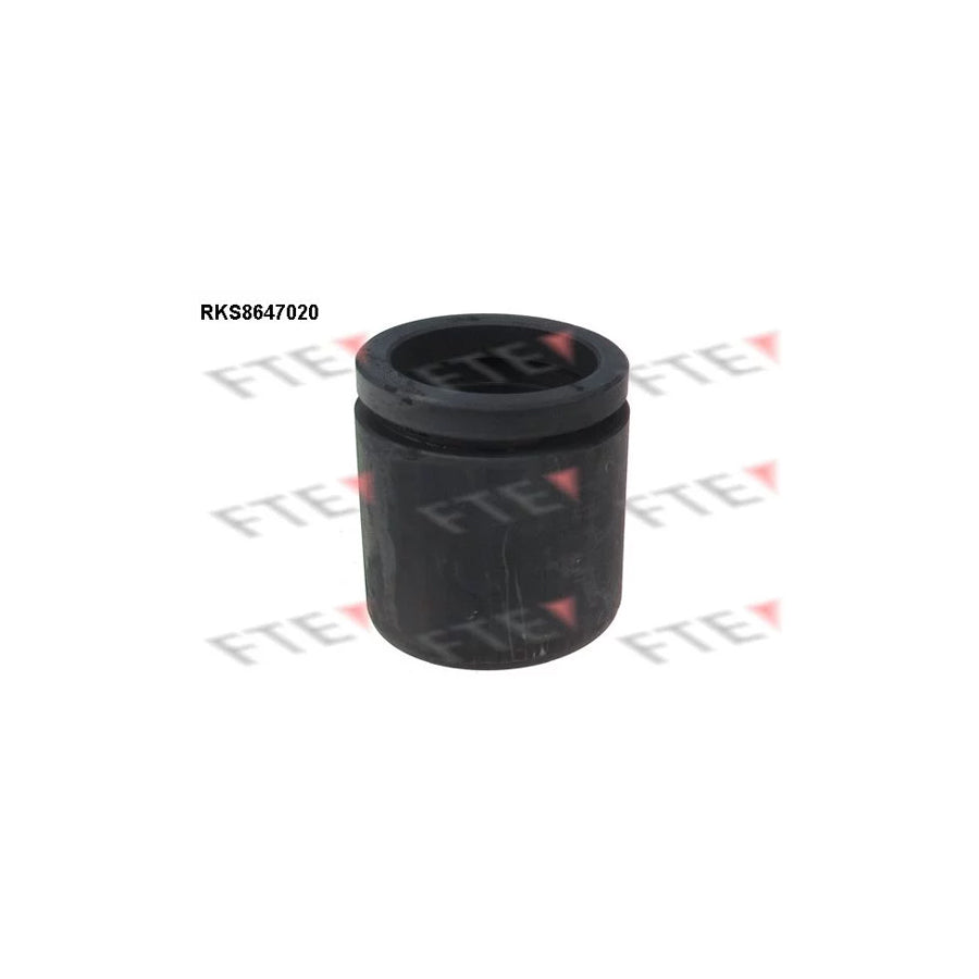 FTE Rks8647020 Piston, Brake Caliper