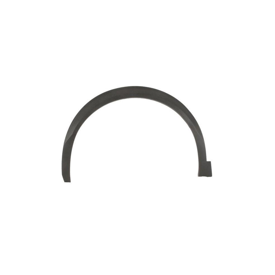 Blic 5703-04-5509421P Trim / Protective Strip, Mudguard for Peugeot 2008 II (U_)