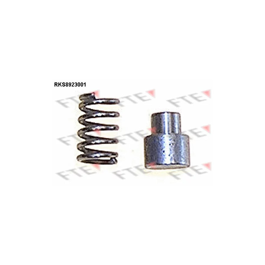 FTE Rks8923001 Guide Sleeve, Brake Caliper