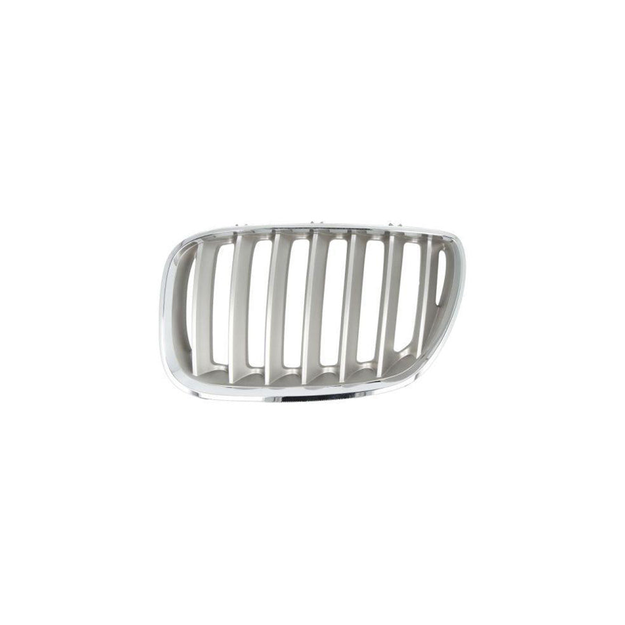 Blic 6502-07-0095997P Radiator Grille for BMW X5 (E53)