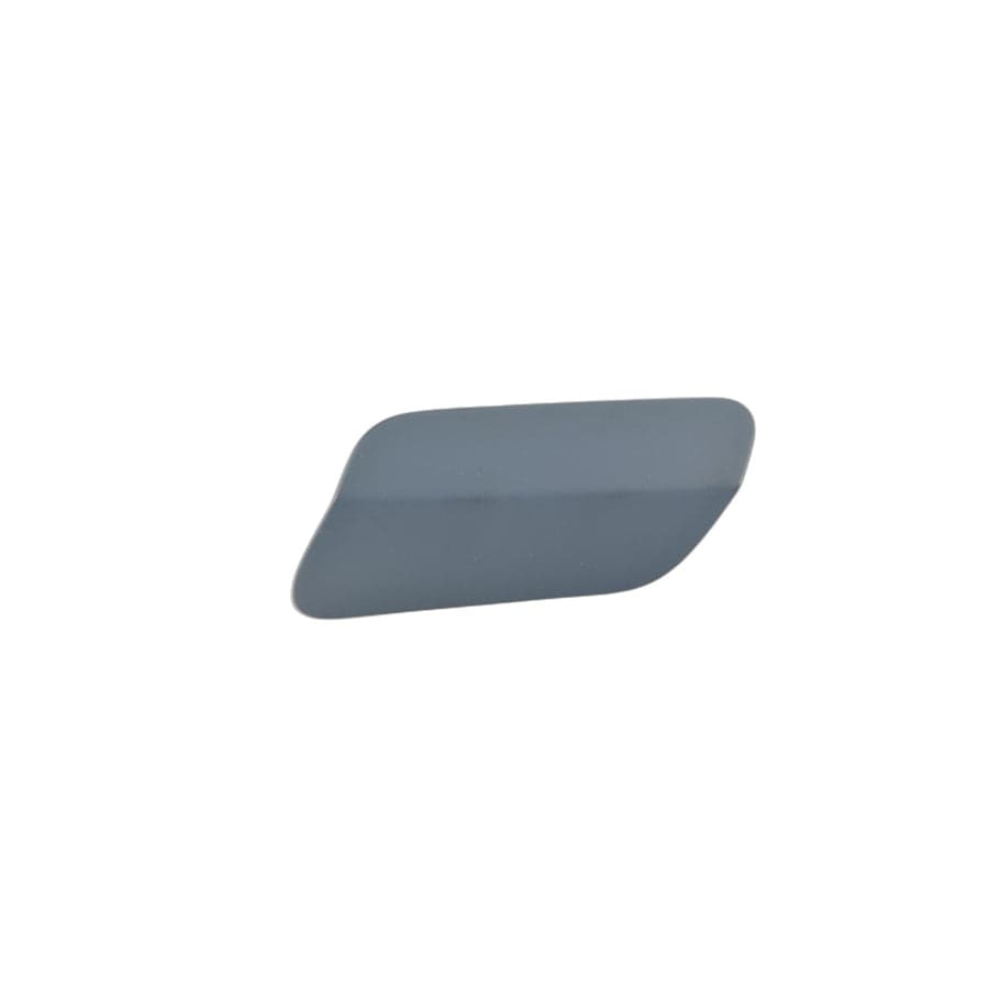 Genuine BMW 51117409533 F12 F13 F06 Covering Primend Left (Inc. Alpina B6)