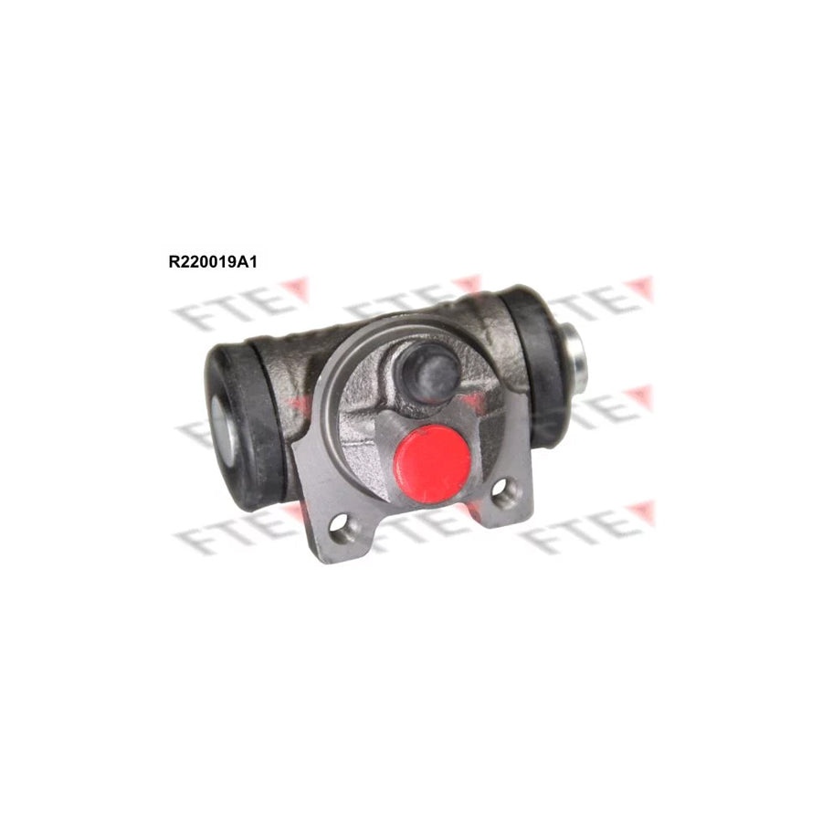 FTE R220019A1 Wheel Brake Cylinder