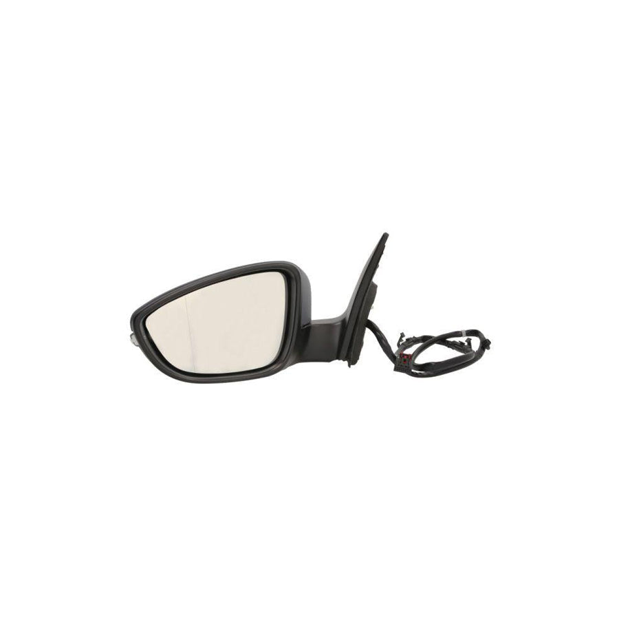 Blic 5402-01-2002593P Wing Mirror for VW Eos (1F7, 1F8)