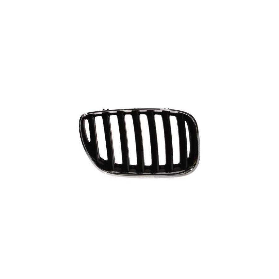 Blic 6502-07-0095996P Radiator Grille for BMW X5 (E53)