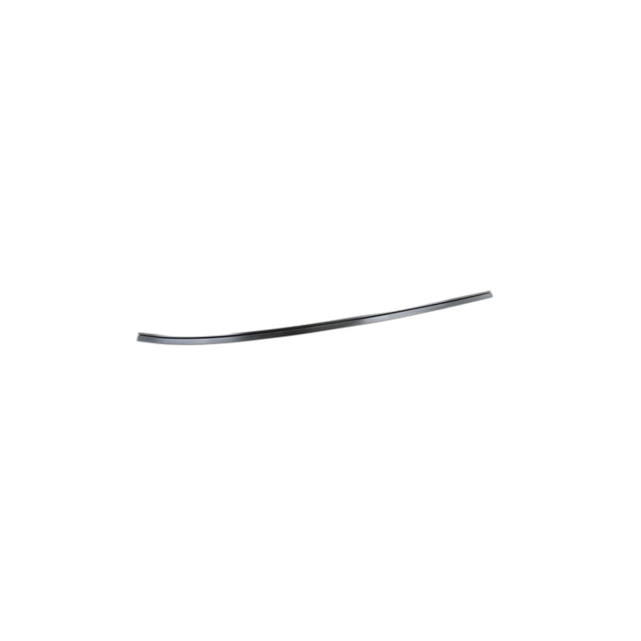 Genuine BMW 51137250402 E71 E72 Roof Molding Right (Inc. X6)