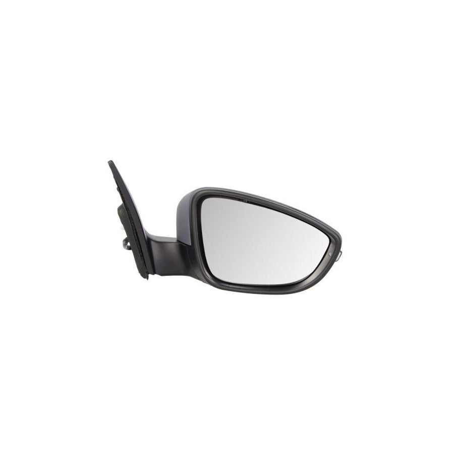 Blic 5402-01-2002590P Wing Mirror for VW Eos (1F7, 1F8)