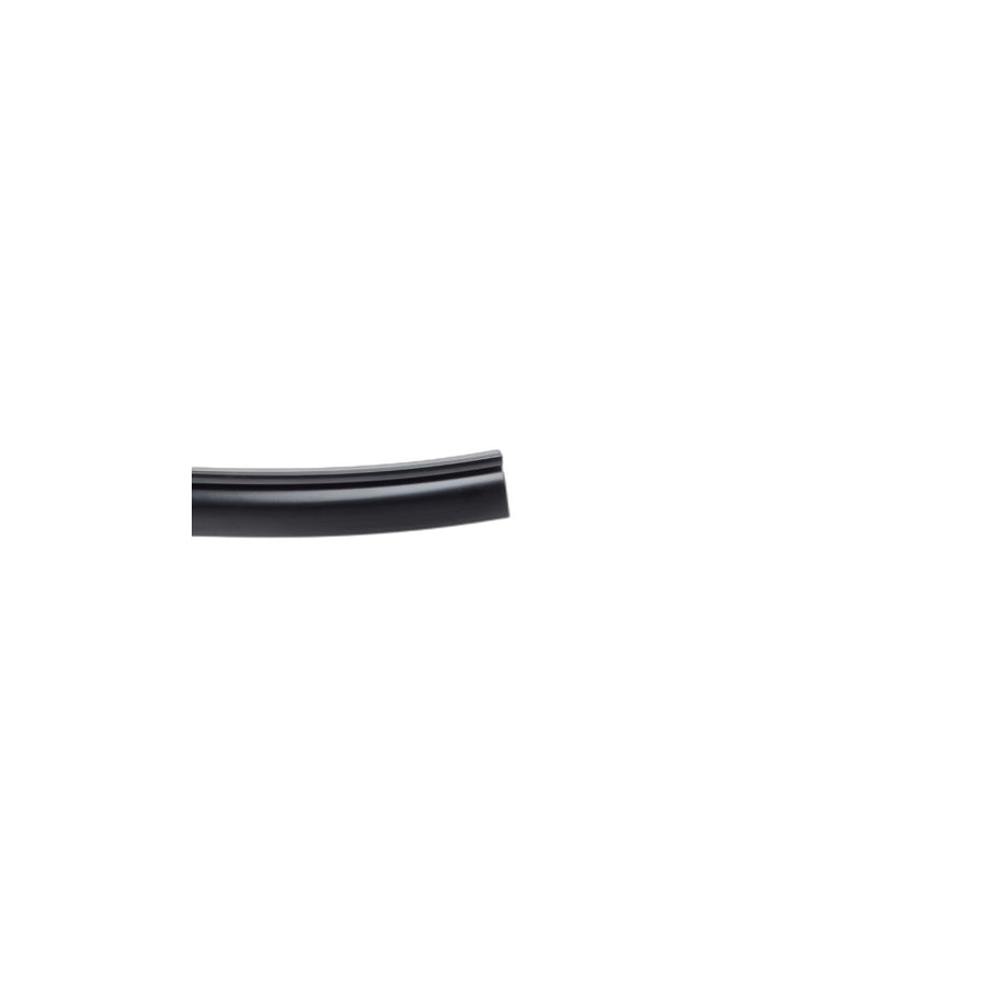 Genuine BMW 51137230373 E70 Roof Molding Left SCHWARZ (Inc. X5)