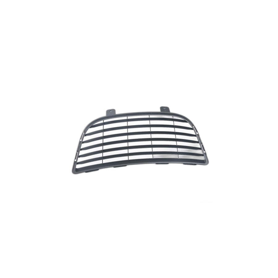 Genuine BMW 51137353519 Grill, Air Duct, Hood (Inc. i8)