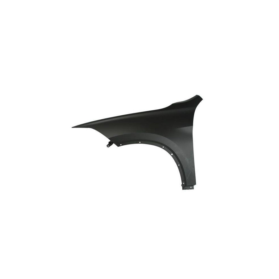 Blic 6504-04-0082311P Wing Fender for BMW X1 (F48)