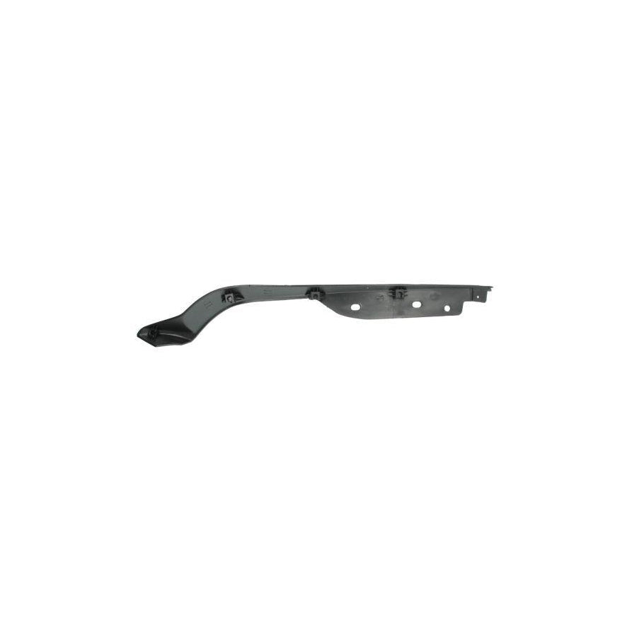 Blic 6502-07-3181971P Bumper Moulding for Hyundai Santa Fe II (CM)
