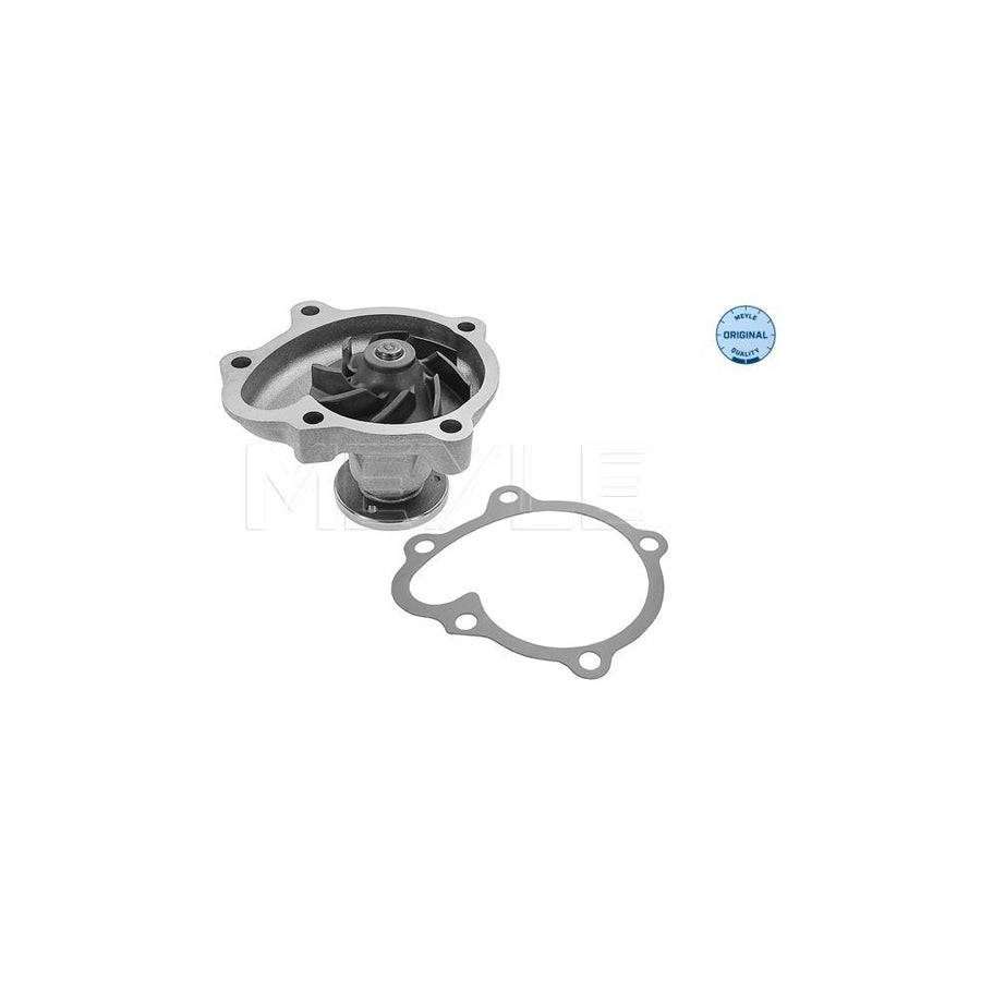 Meyle 613 220 0012 Water Pump