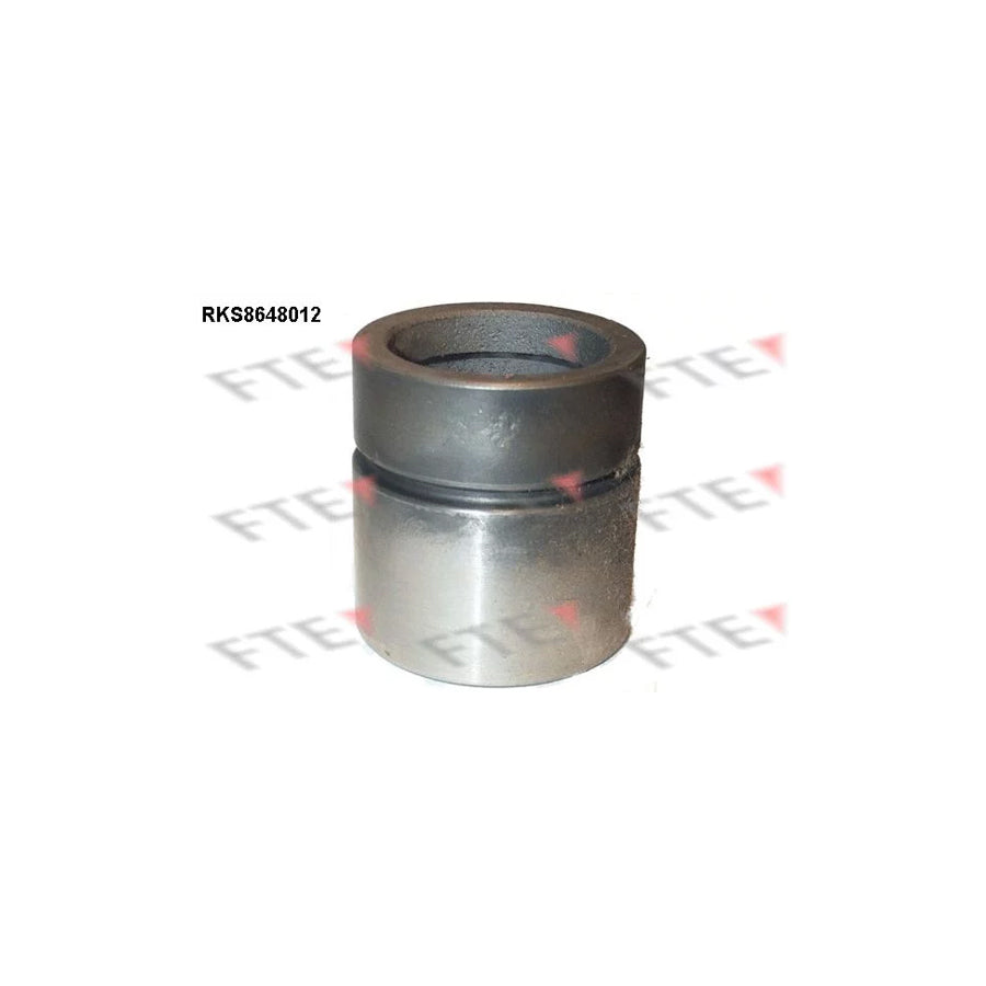 FTE Rks8648012 Piston, Brake Caliper