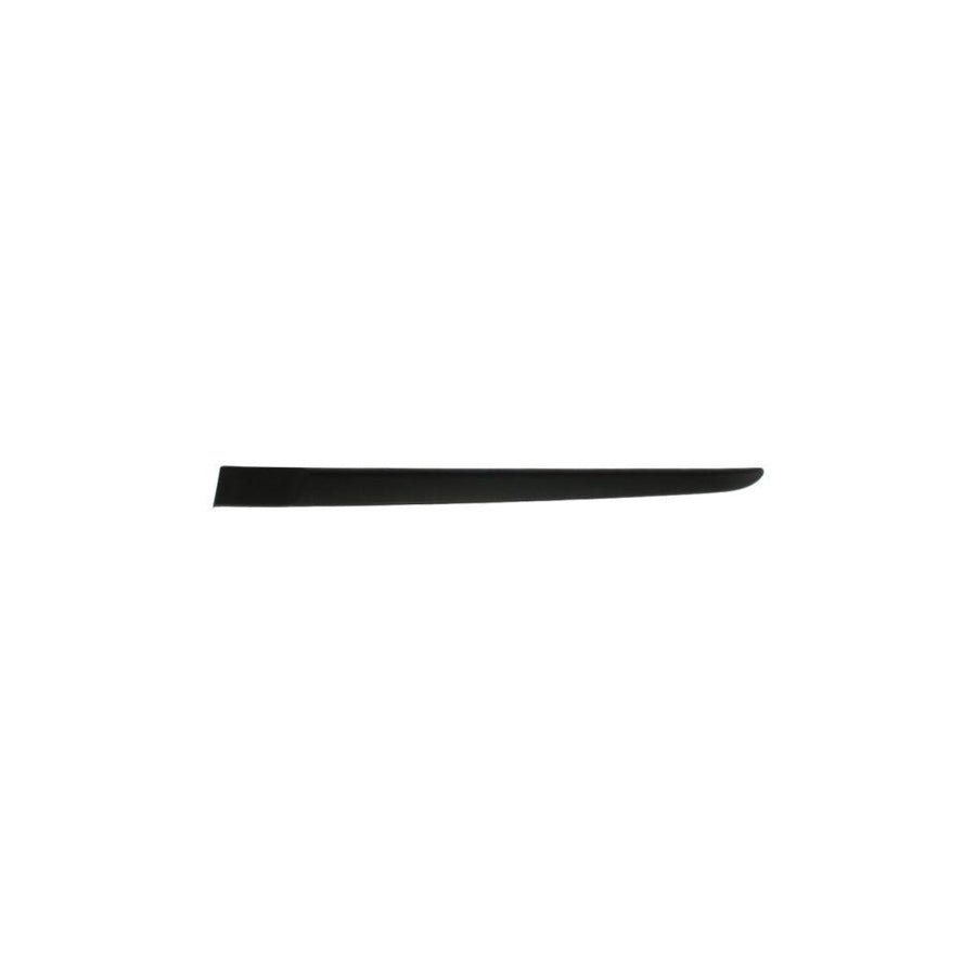 Blic 5703-04-6033573P Door Molding for Renault Clio