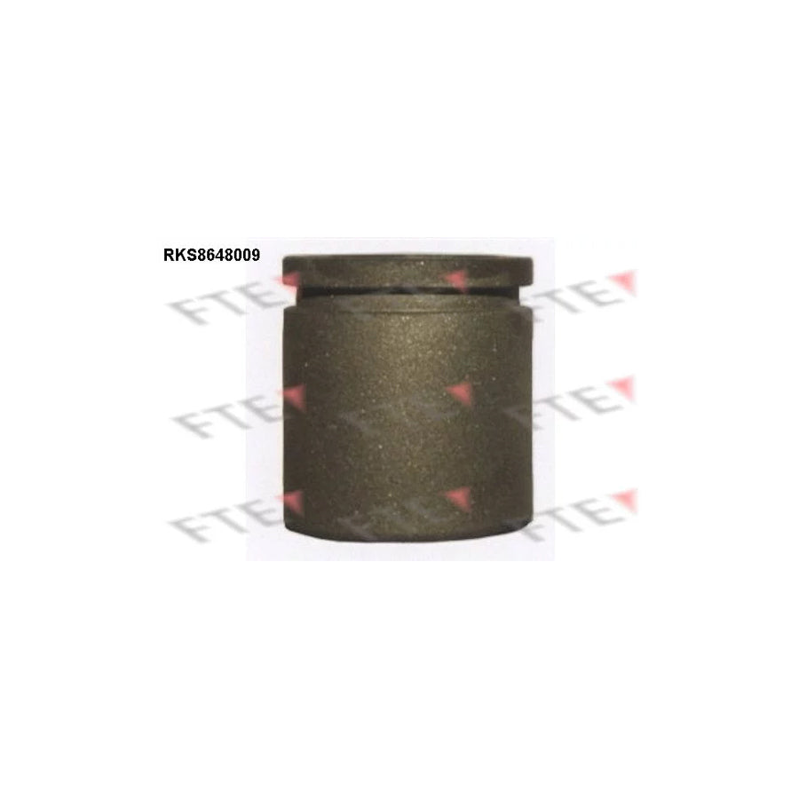FTE Rks8648009 Piston, Brake Caliper