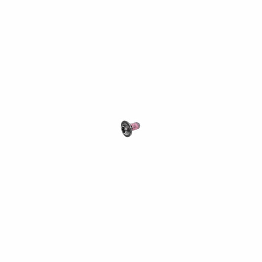 Genuine BMW Mini 07149128051 E65 E63 E64 Torx-Bolt With Washer ISA M5X10 (Inc. Z4)