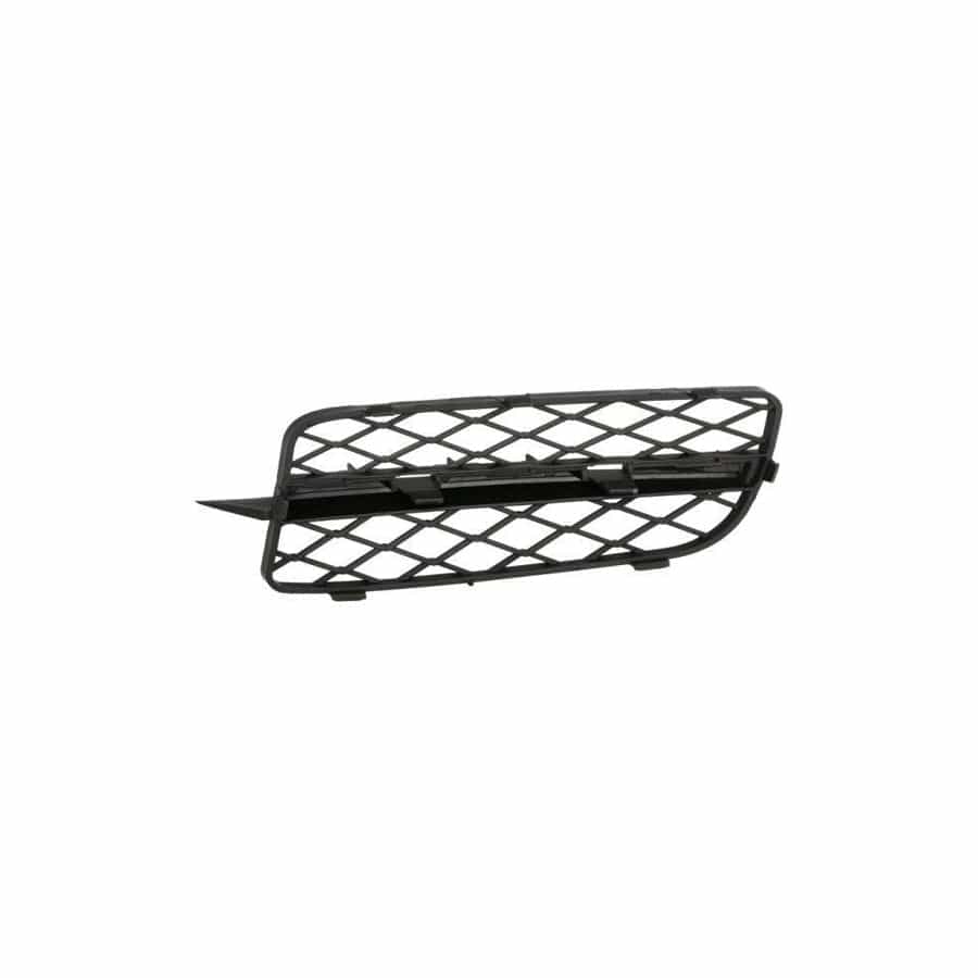 Blic 6502-07-0096928P Bumper Grill for BMW X5 (E70)