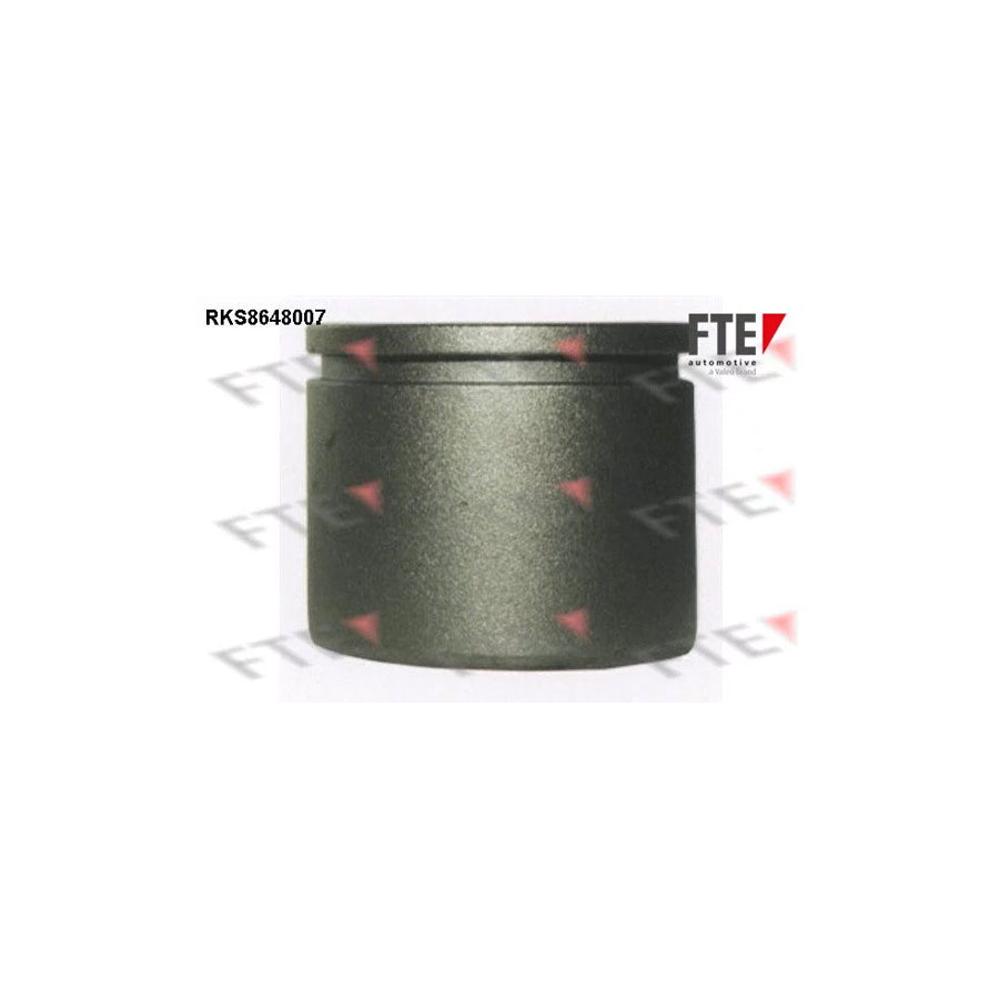 FTE Rks8648007 Piston, Brake Caliper