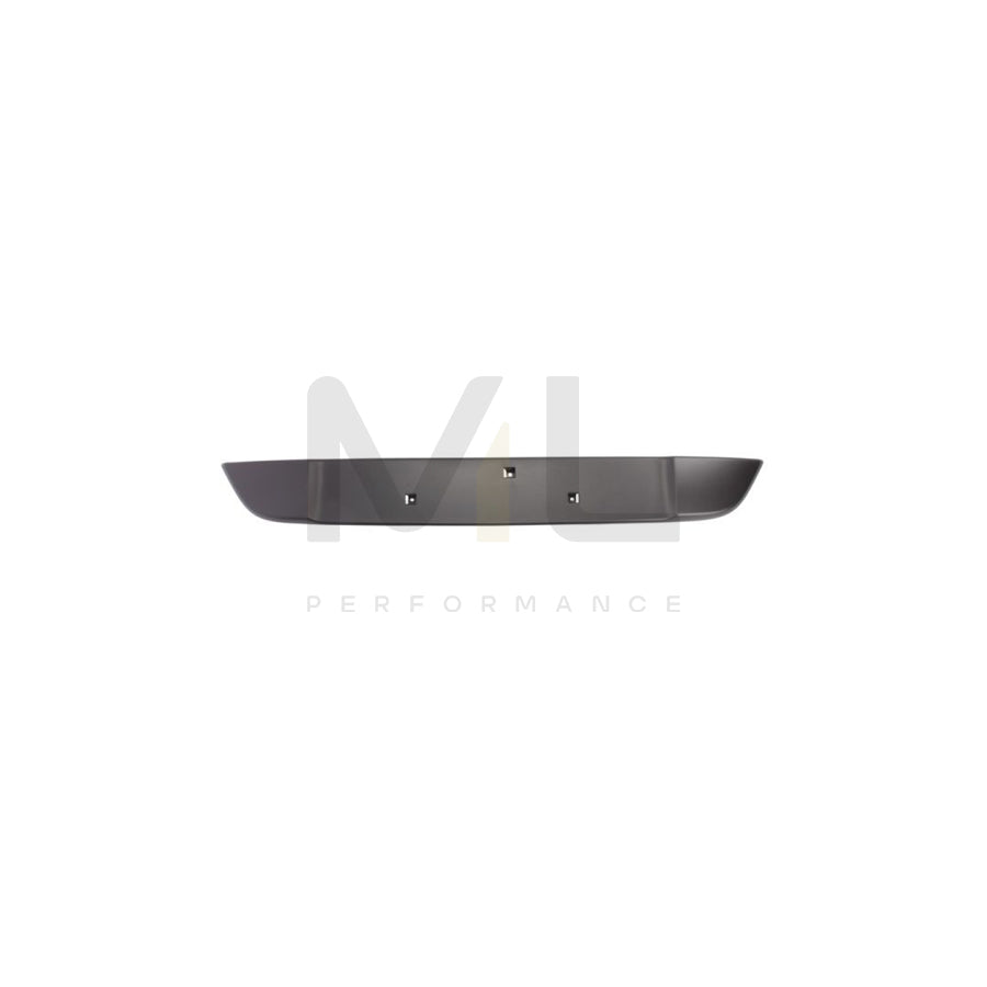 BLIC 6509-01-1303920P Number plate holder Front, Black, frameless