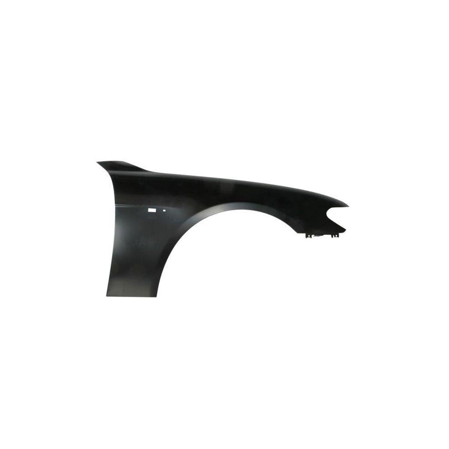 Blic 6504-04-0076312P Wing Fender for BMW 7 (E65, E66, E67)
