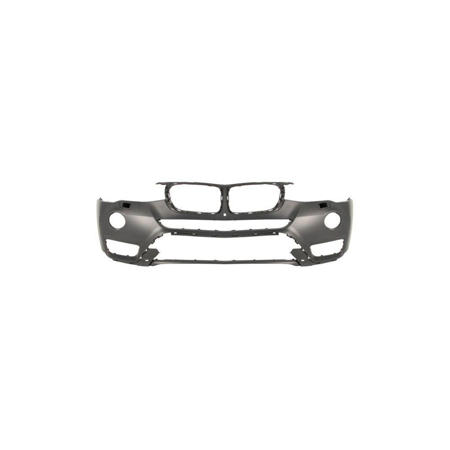 Blic 5703-04-6032578P Door Molding for Renault Clio