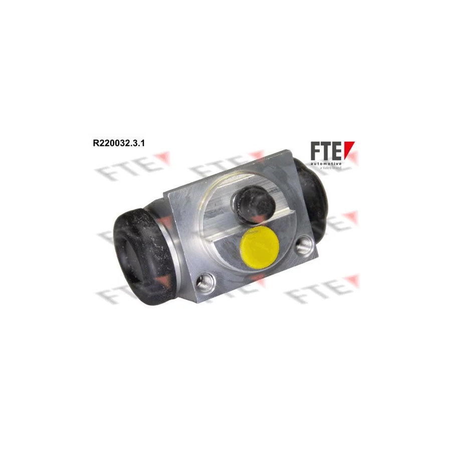 FTE R220032.3.1 Wheel Brake Cylinder