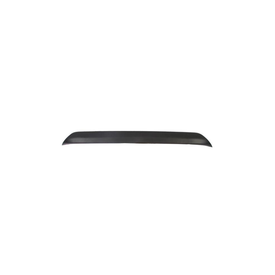 Blic 5703-04-6032576P Door Molding for Renault Clio