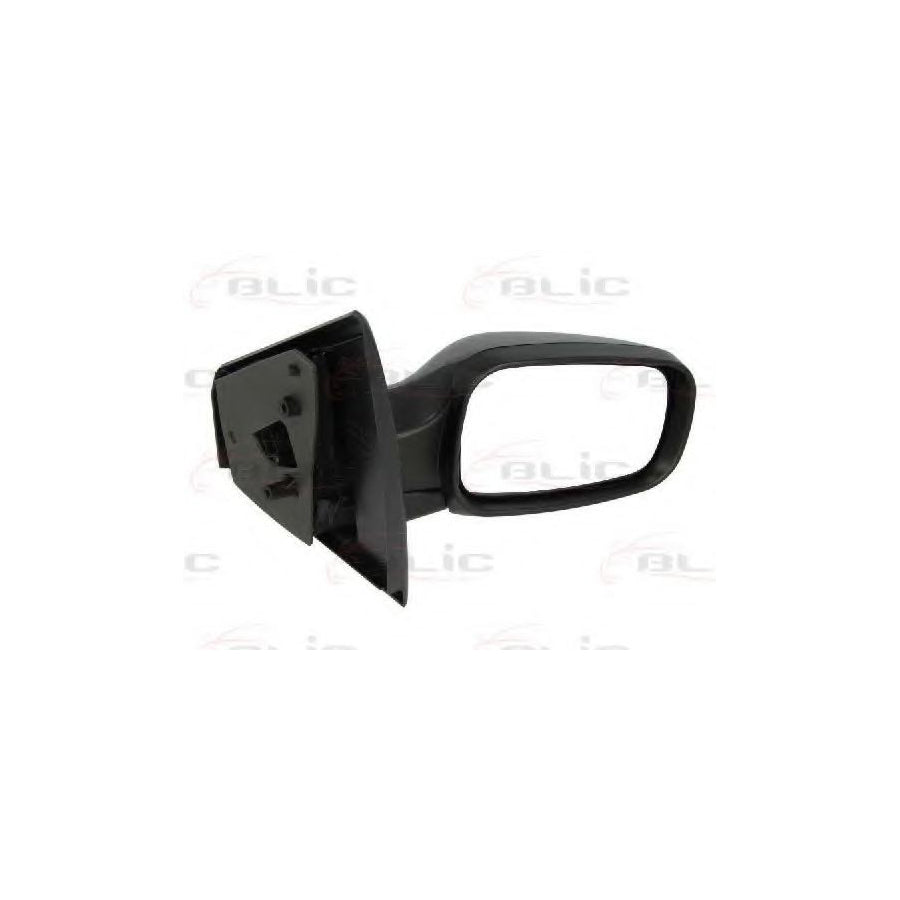 Blic 5402-04-1122175 Wing Mirror for Renault Clio III Hatchback (Br0/1, Cr0/1)