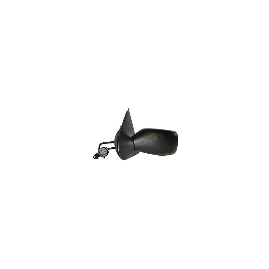 Abakus 1209M06 Wing Mirror for Ford Fiesta