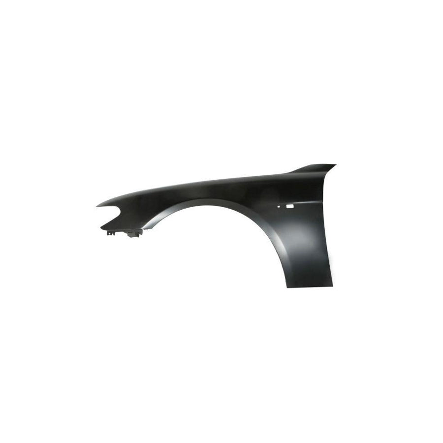 Blic 6504-04-0076311P Wing Fender for BMW 7 (E65, E66, E67)