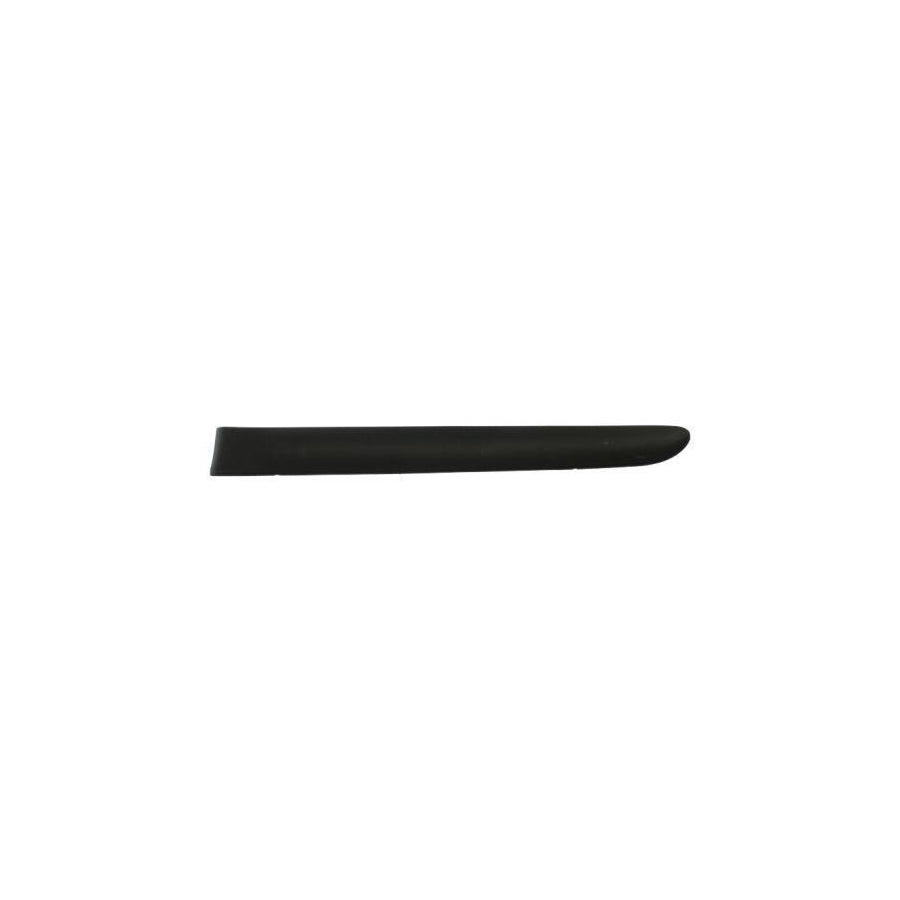 Blic 5703-04-6032573P Door Molding for Renault Clio