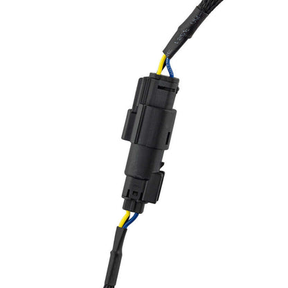 DS18 Plug and Play Harness For Harley-Davidson For DS18 Amp Connection w/ Factory Radio