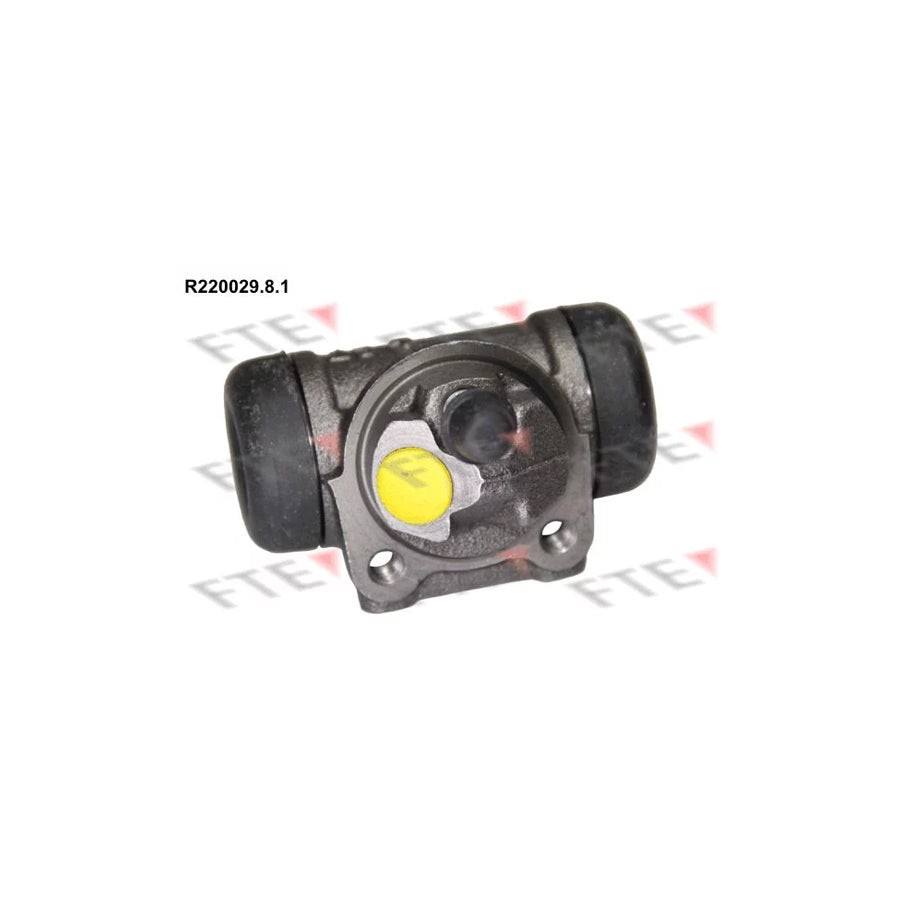 FTE R220029.8.1 Wheel Brake Cylinder