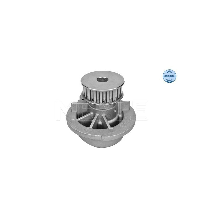 Meyle 613 600 0005 Water Pump