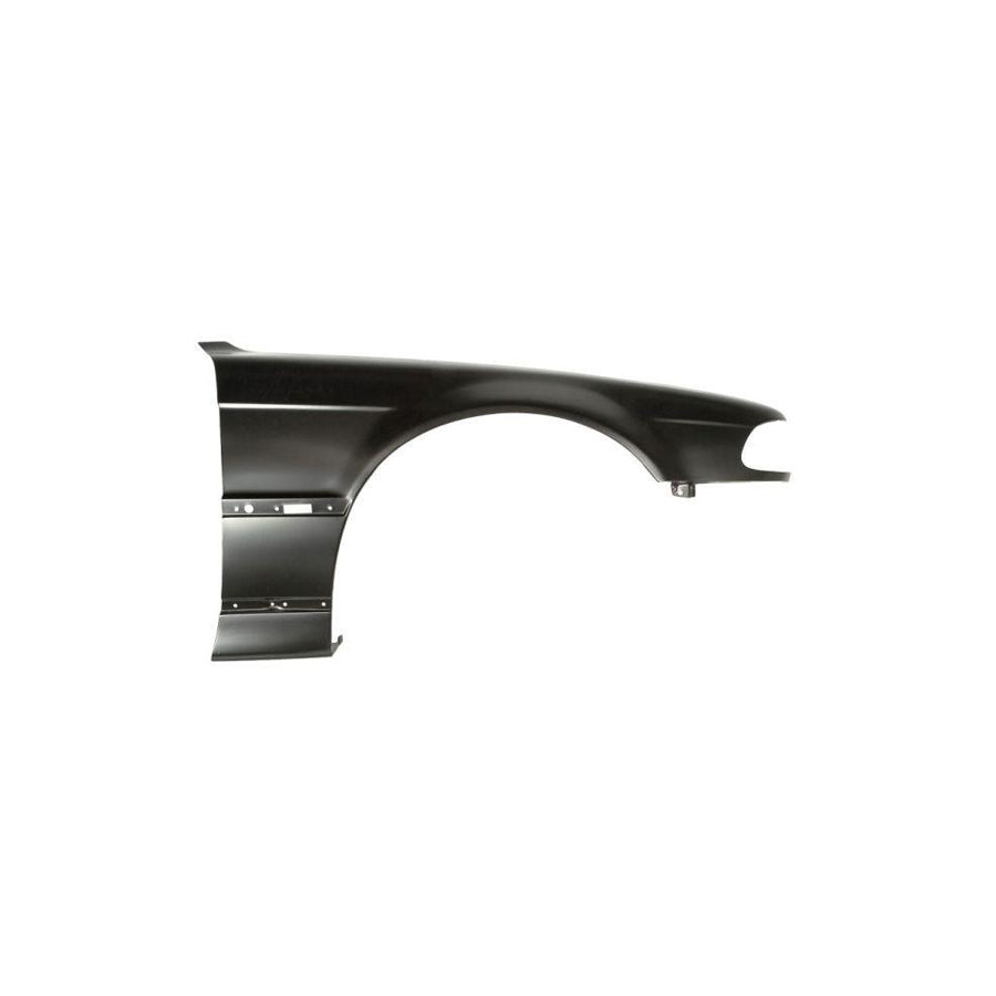 Blic 6504-04-0075314P Wing Fender for BMW 7 (E38)