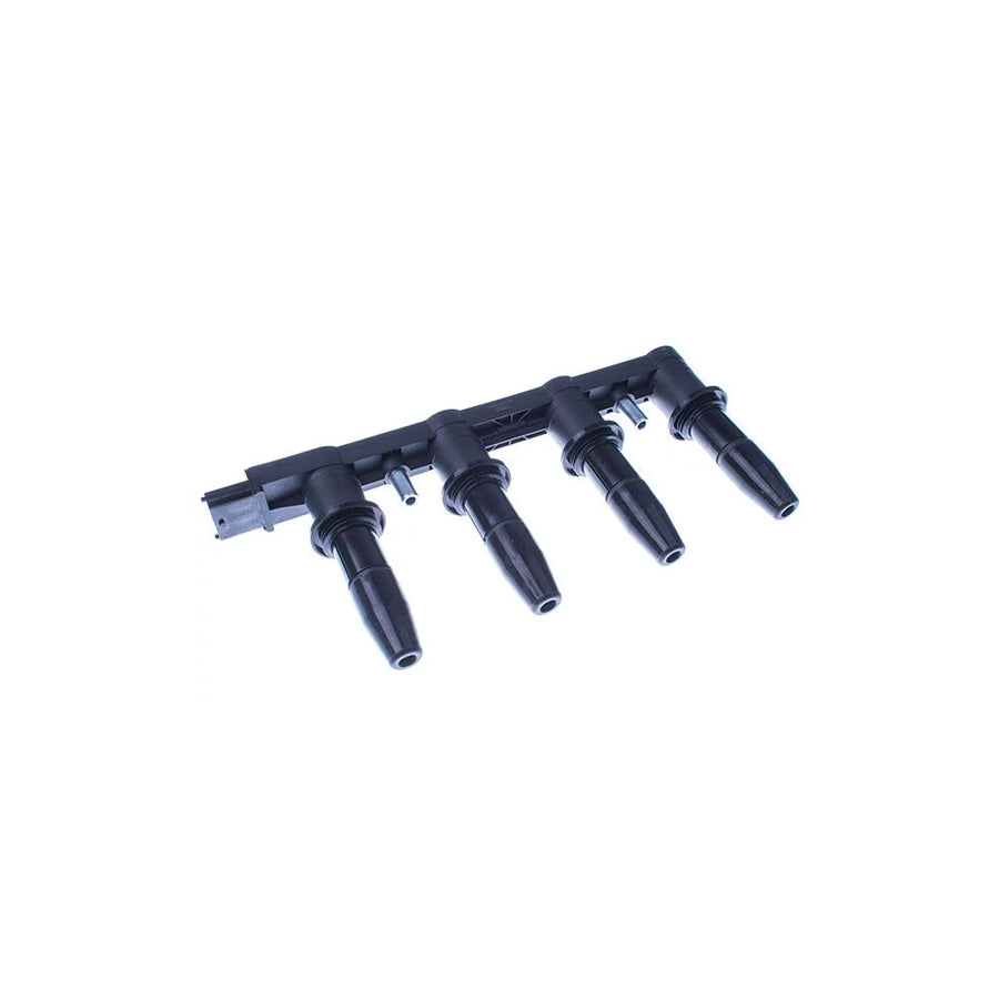 Denckermann E100003 Ignition Coil