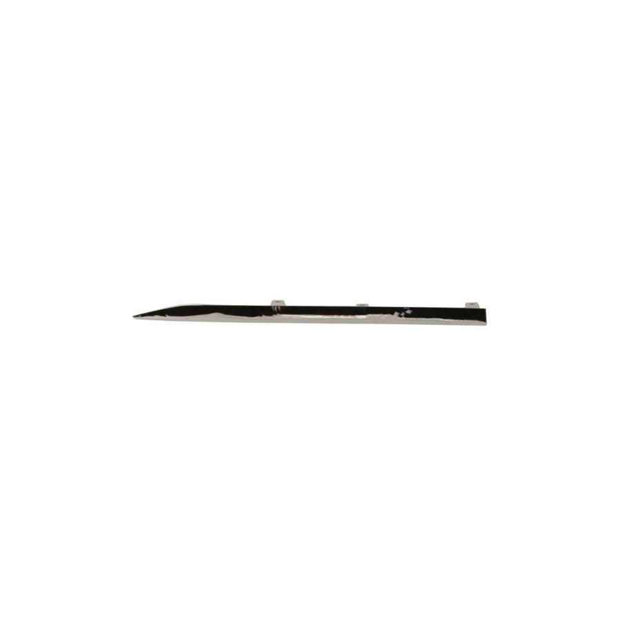 Blic 5703-04-6013578P Trim / Protective Strip, Mudguard for Audi A4